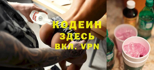 мет Корсаков