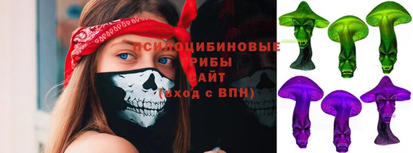 мет Корсаков