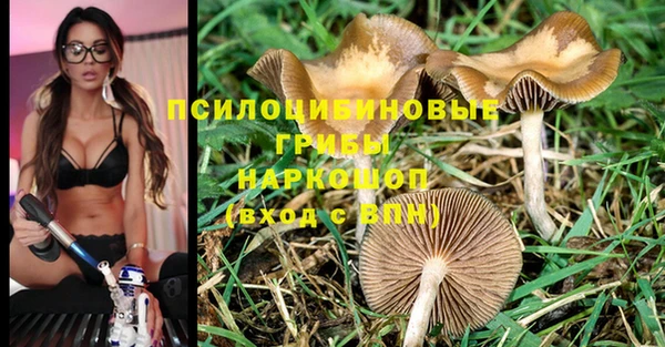 круглые Коряжма