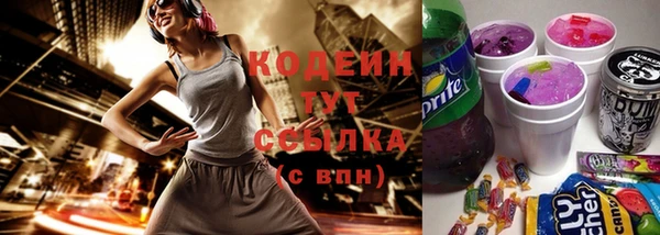 мет Корсаков